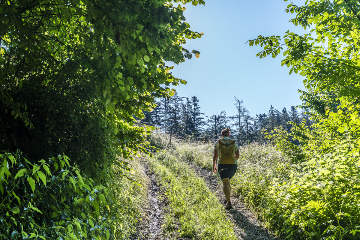 Wanderung Signau Chuderhüsi