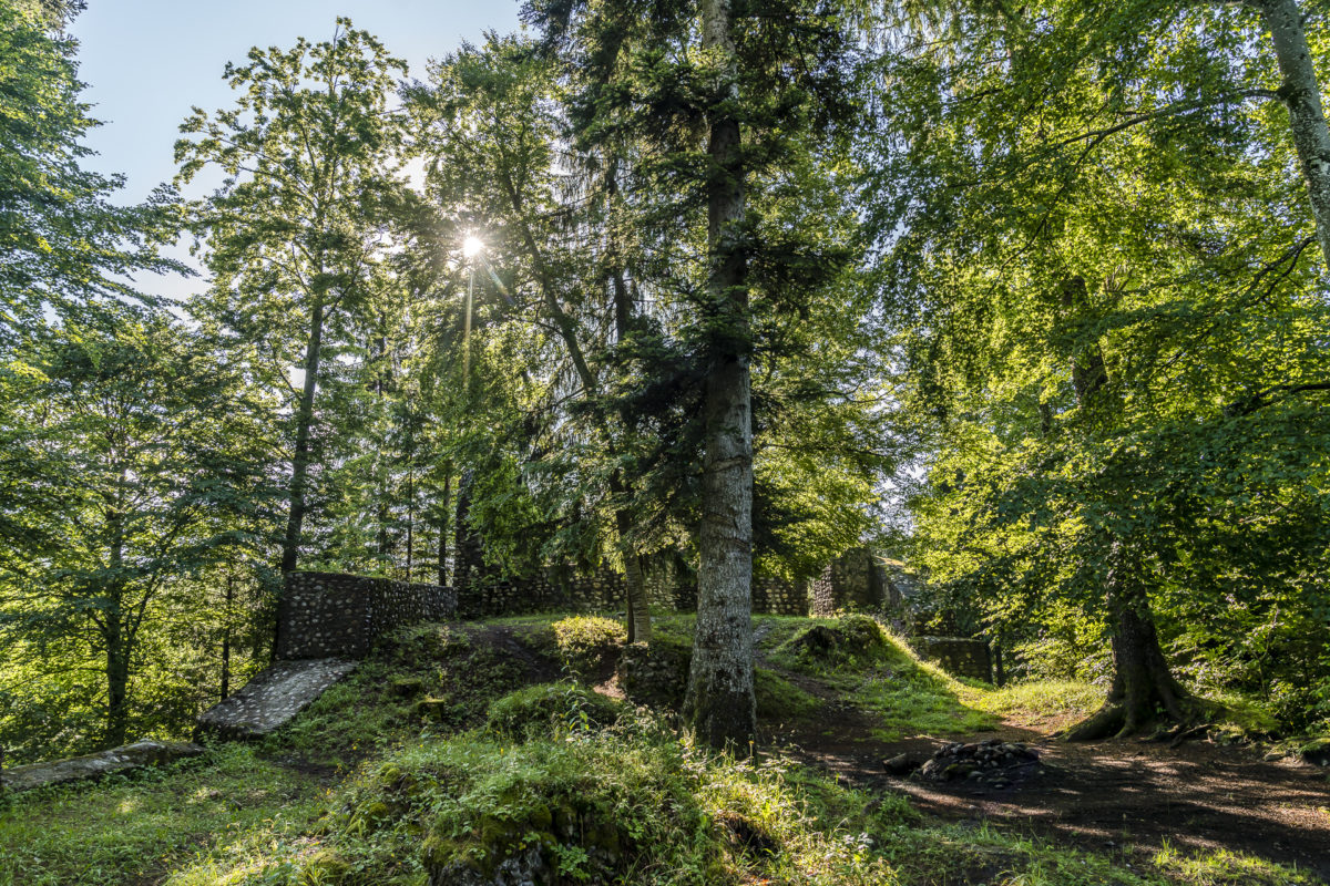 Burgruine Alt Signau