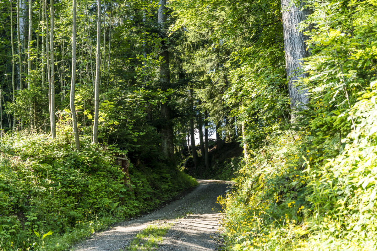 Wanderweg Signau Chuderhüsi Emmental