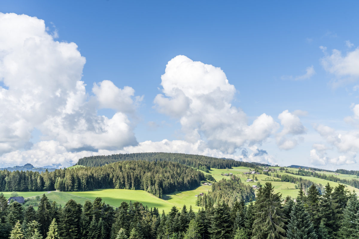 Emmental Panorama