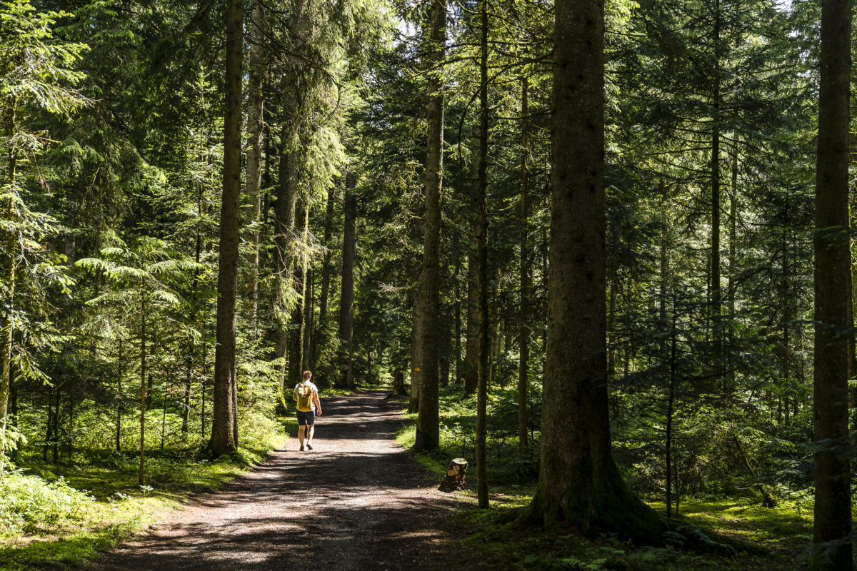 Wanderung Chuderhüsi - Röthenbach