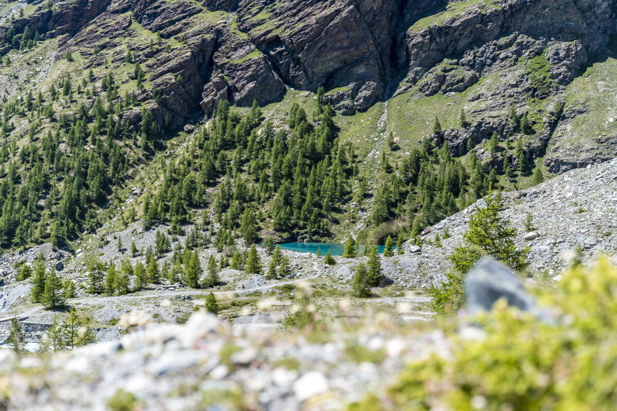 Blick auf Lac Bleu