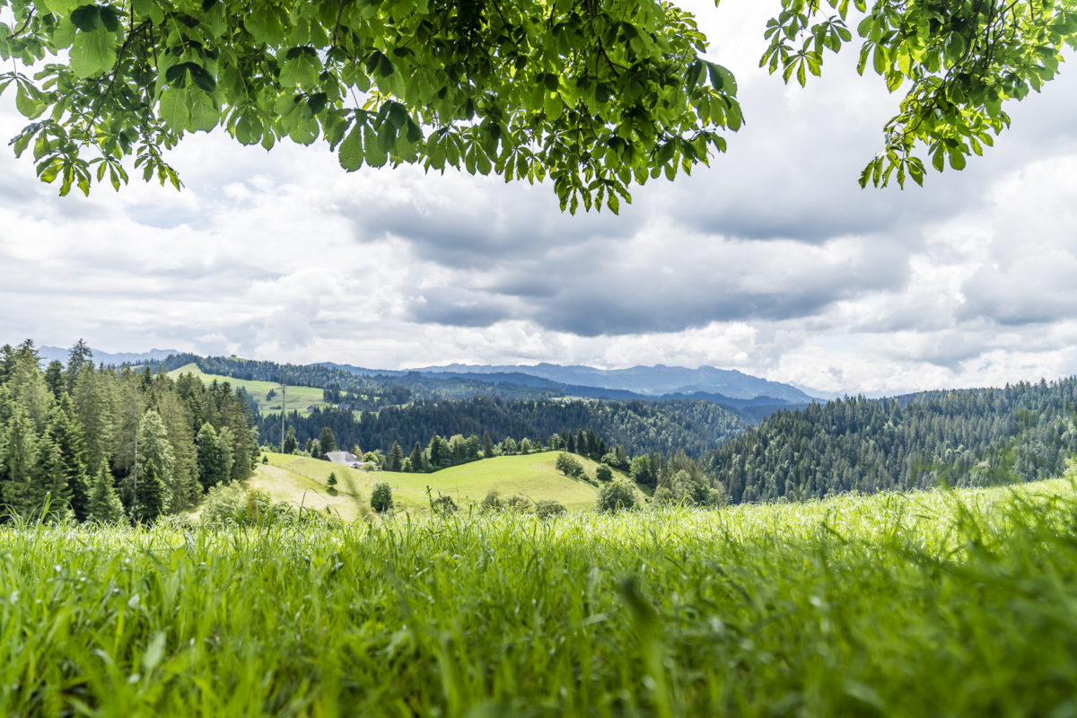 Würzbrunnen Panorama