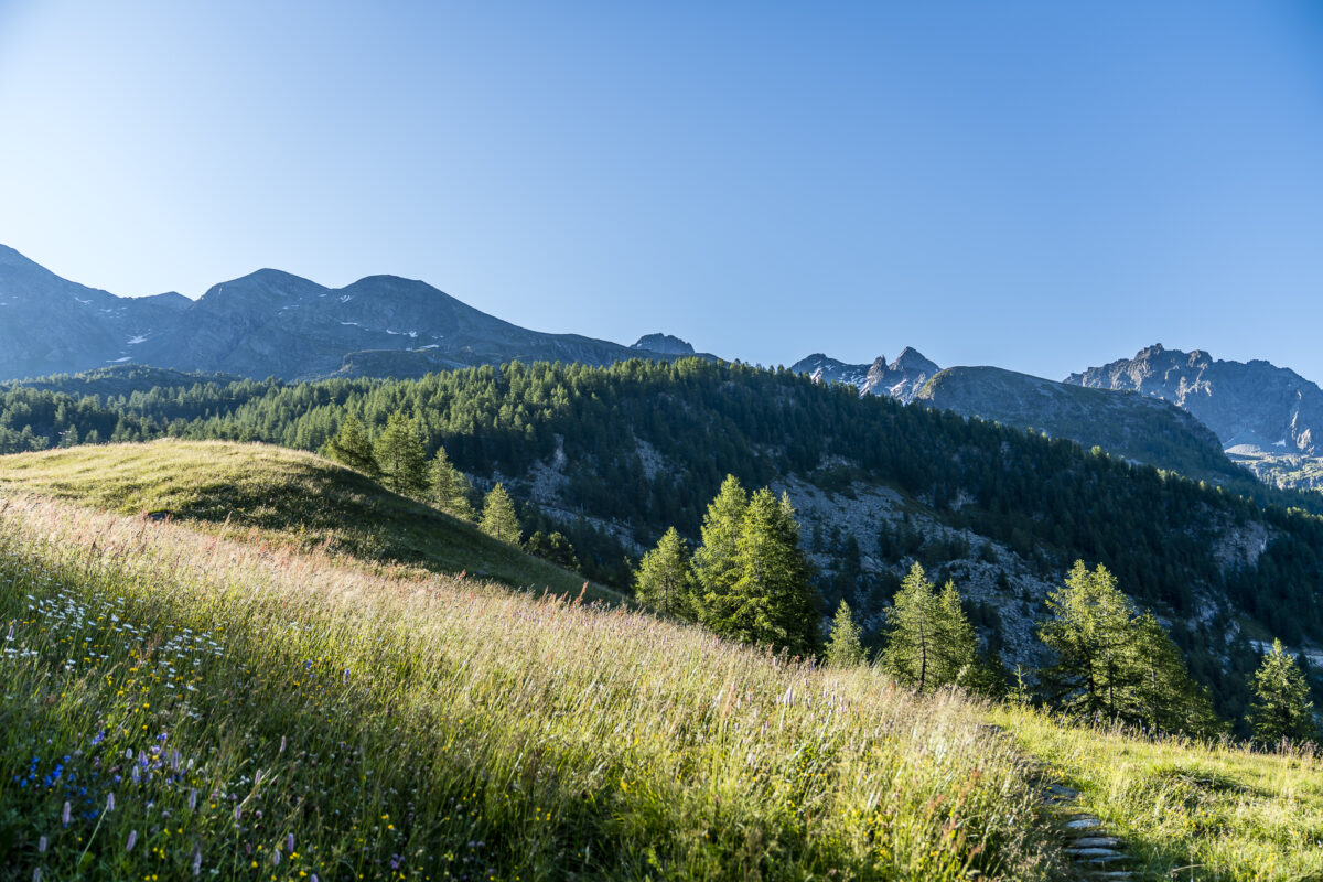 Morgenstimmung in Résy