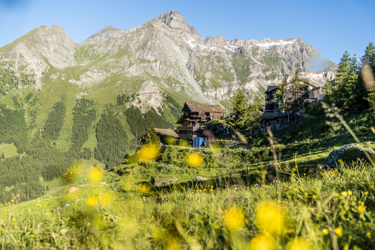 Rifugio Ferraro Resy