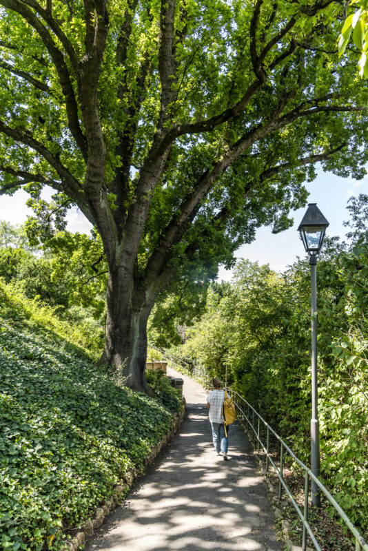 Eugenstaffel Stuttgart