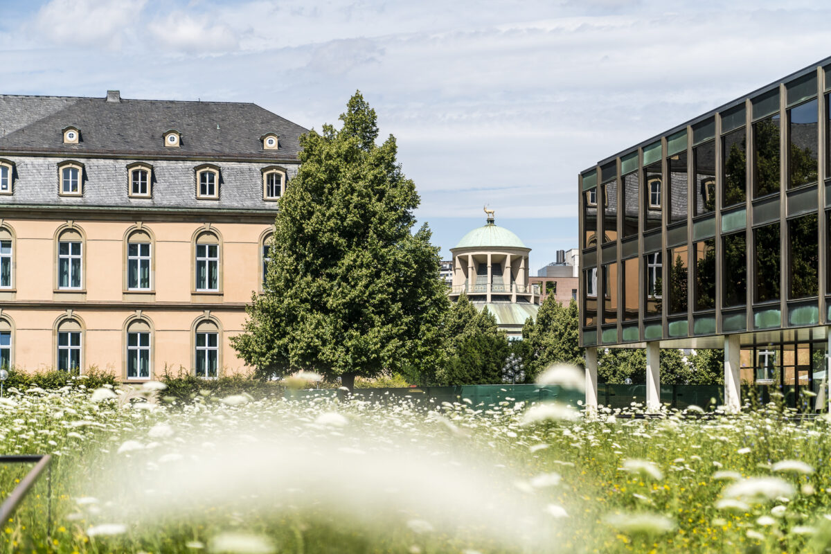 Oberer Schlossgarten Stuttgart