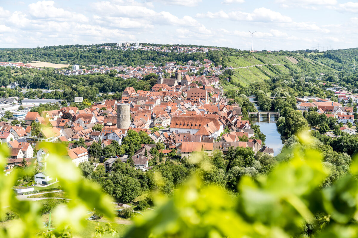 Schönste Weinsicht Besigheim