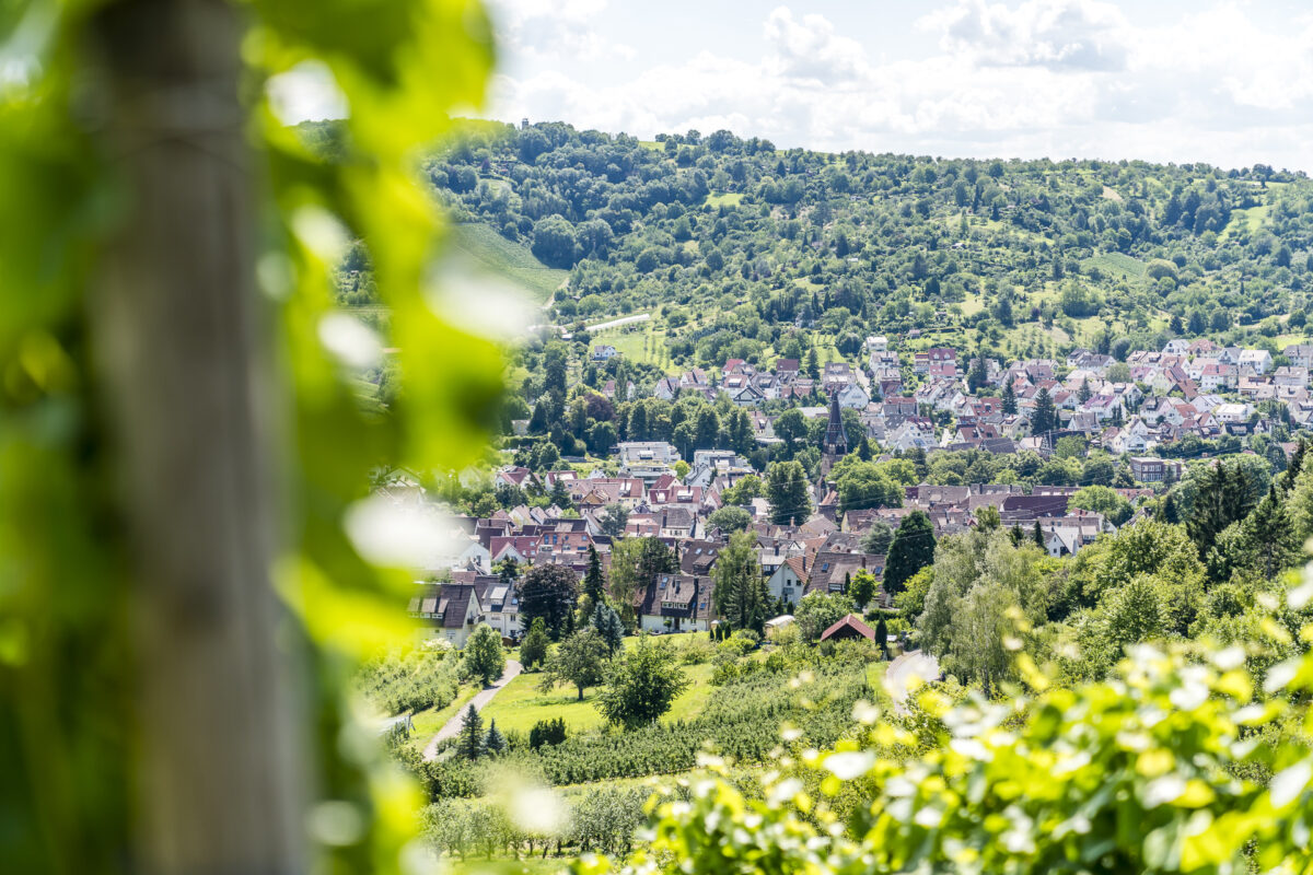 Uhlbach Stadtteil Stuttgart