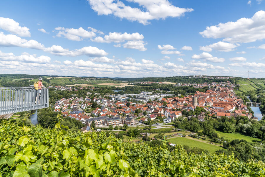 Weinsicht Besigheim Stuttgart