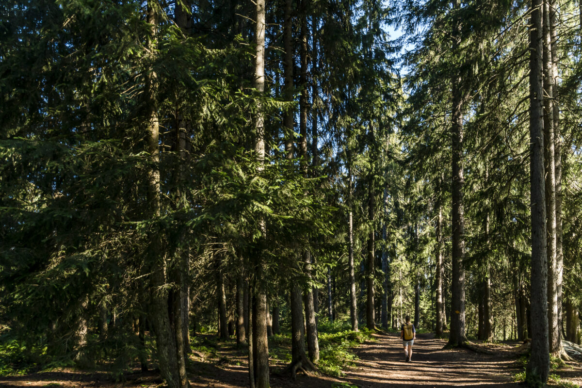 Moorlandschaftspfad Entlebuch