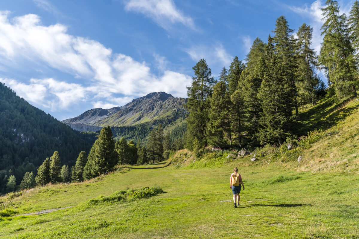 Siviez - Nendaz Wanderung