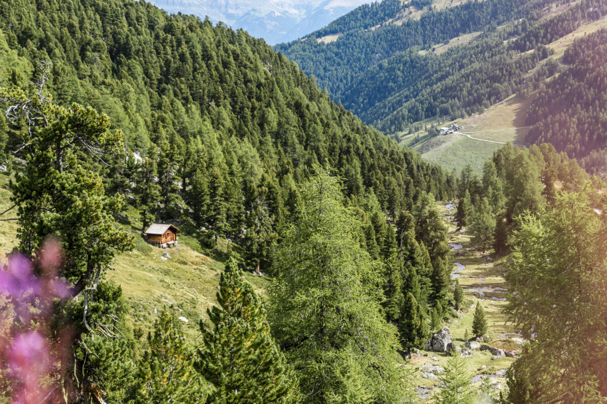 Alp Tortin Nendaz