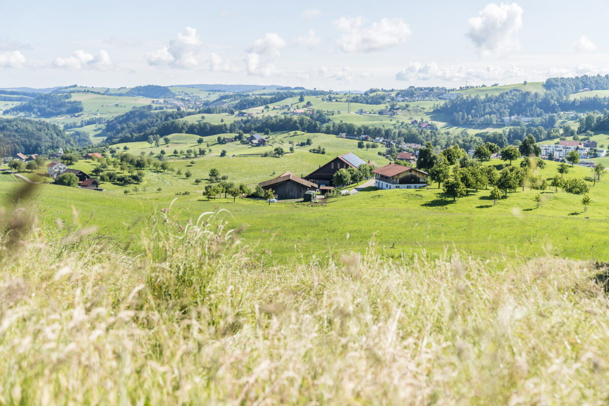 Zugerberg Wanderung