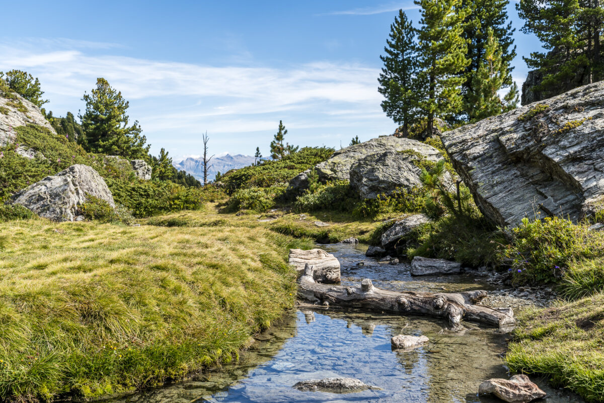 Japanischer Garten bei Nendaz