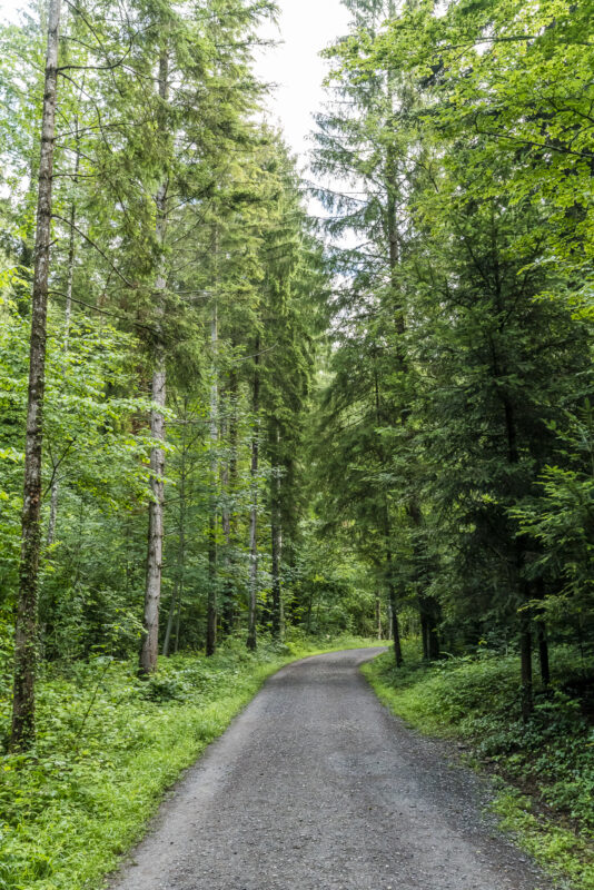 Lorzentobel Wanderung