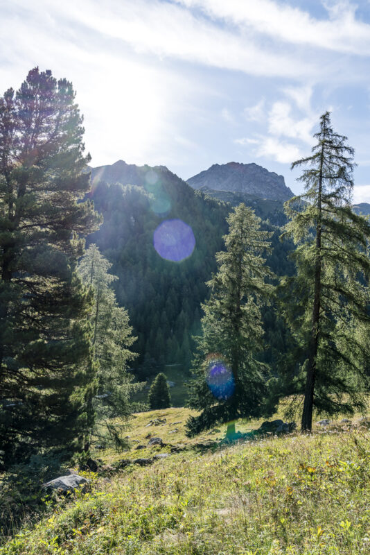 Wandern in Nendaz