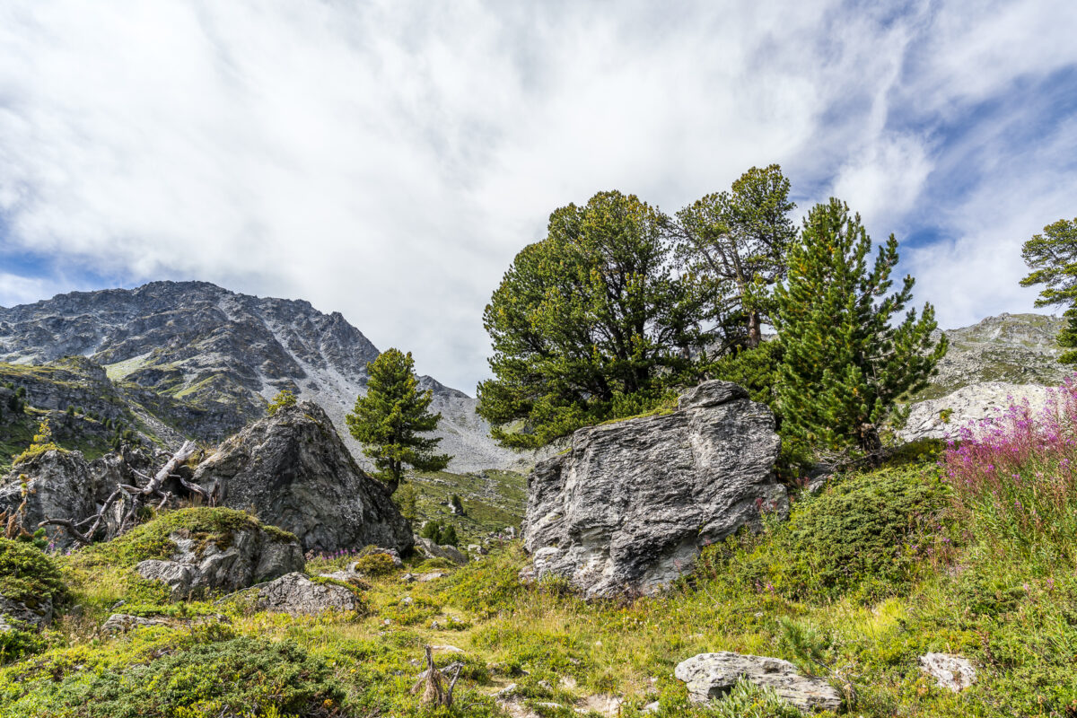 Landschaft Nendaz