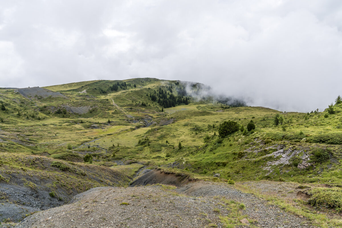 Arosa Wanderung zur Ochsenalp