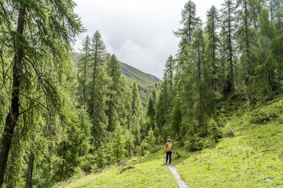 Walserweg Arosa - Sapün