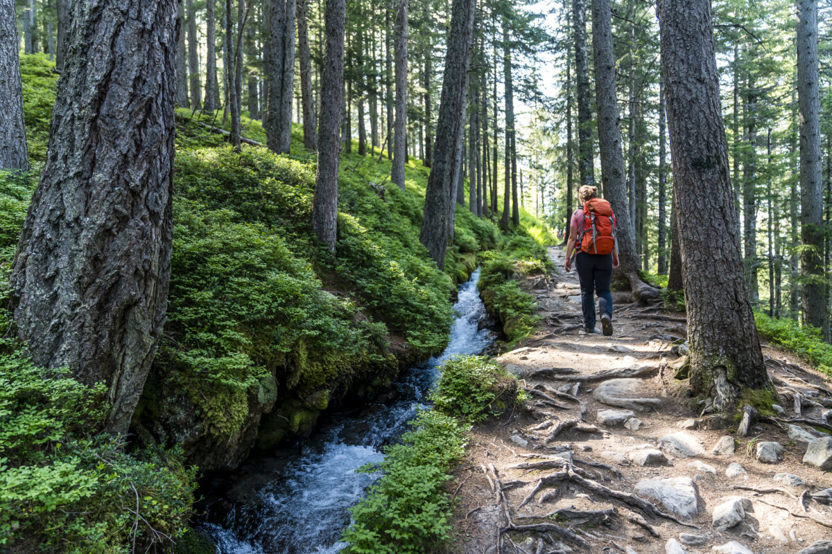 Wanderung Bisse du Champex