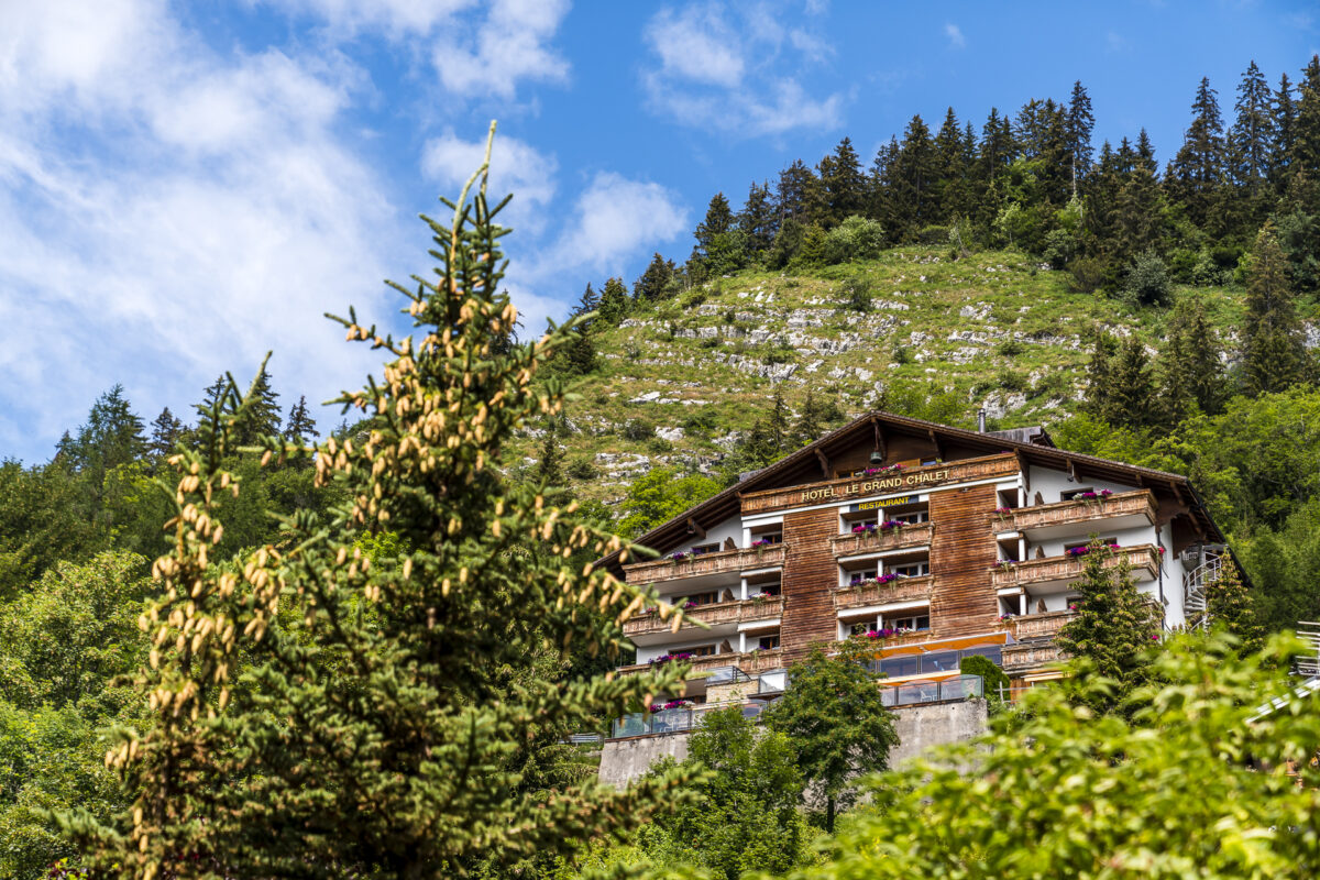 Le Grand Chalet Hotel Leysin