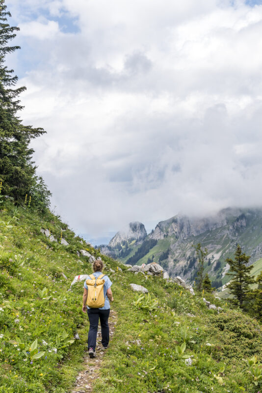 Wanderung Leysin La Riondaz