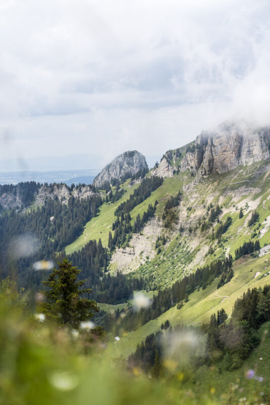 La Riondaz Wanderung Leysin