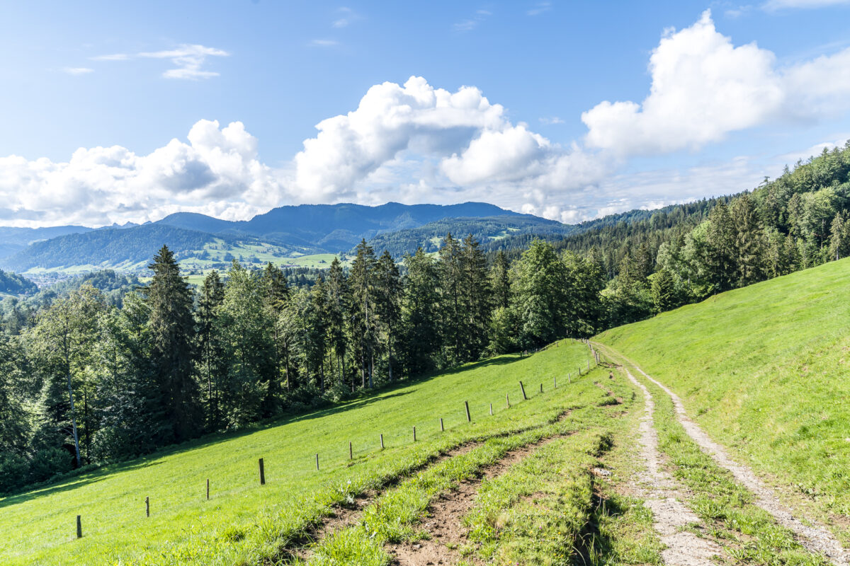 Zugerberg Wanderung