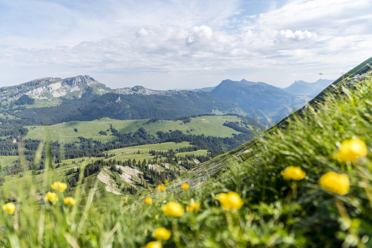 Aussicht Lombachalp