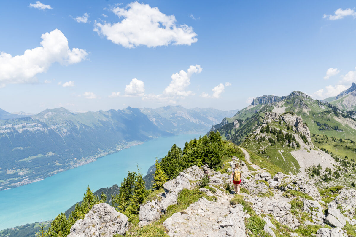 Panoramaweg Schynige Platte