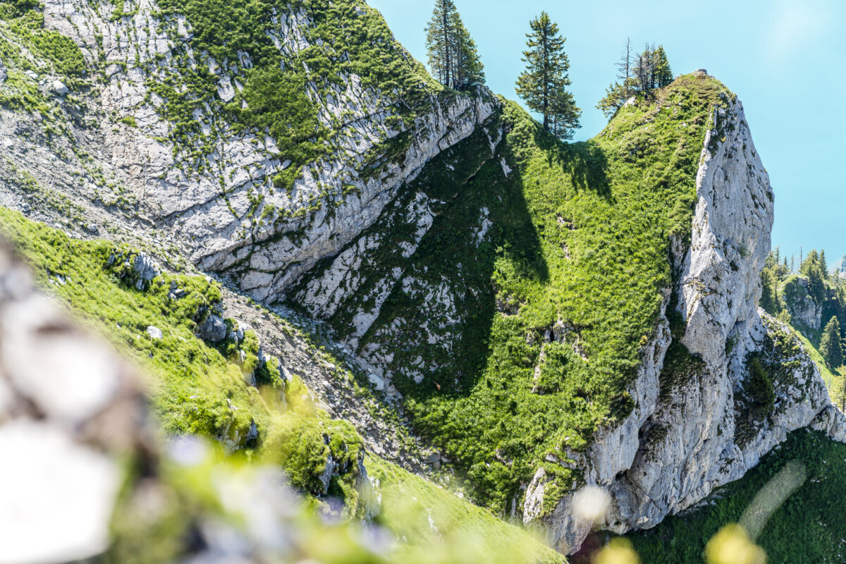 Brienzergrat Felsen