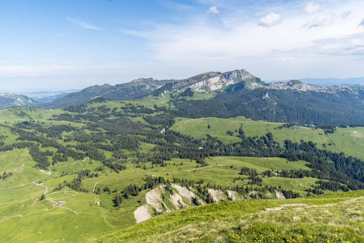 Brienzergrat Wanderung