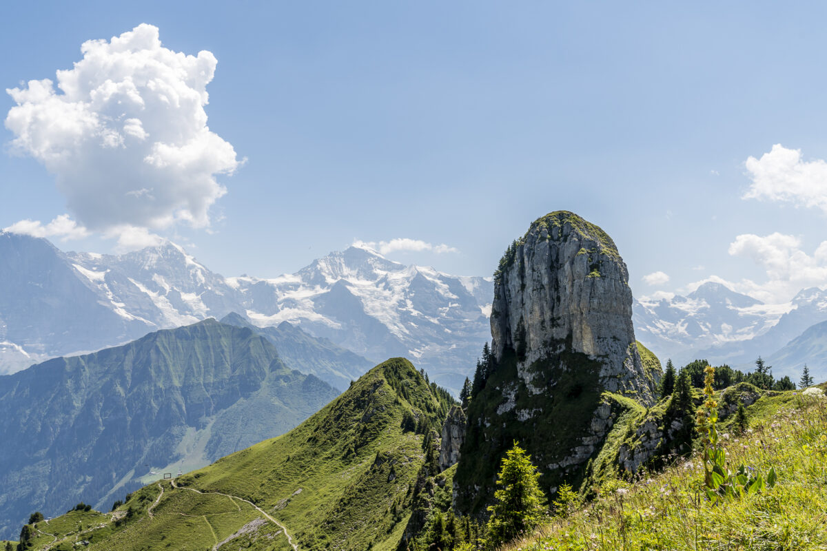 Felsen auf der Schynige Platte