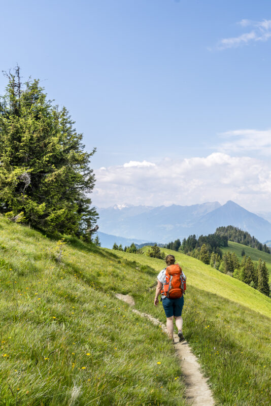 Harder Kulm Wanderung