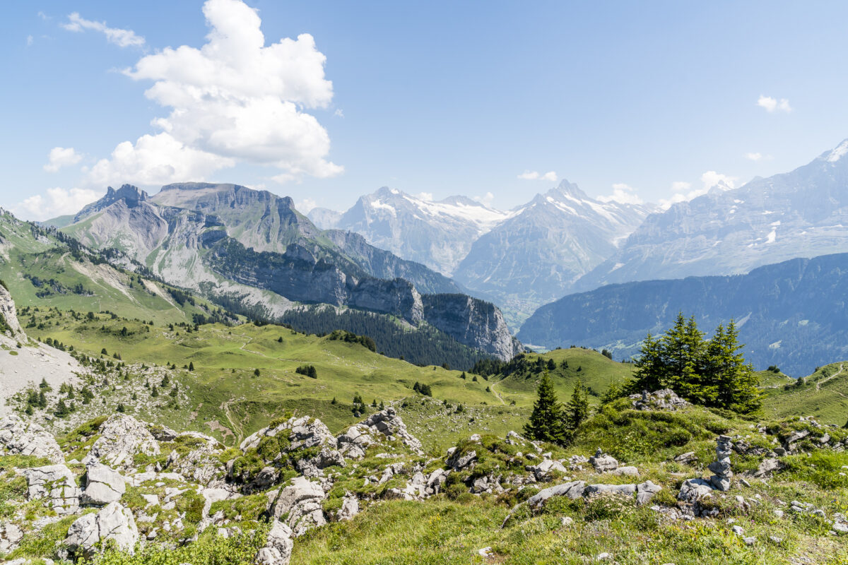 Panorama auf der Schynige Platte