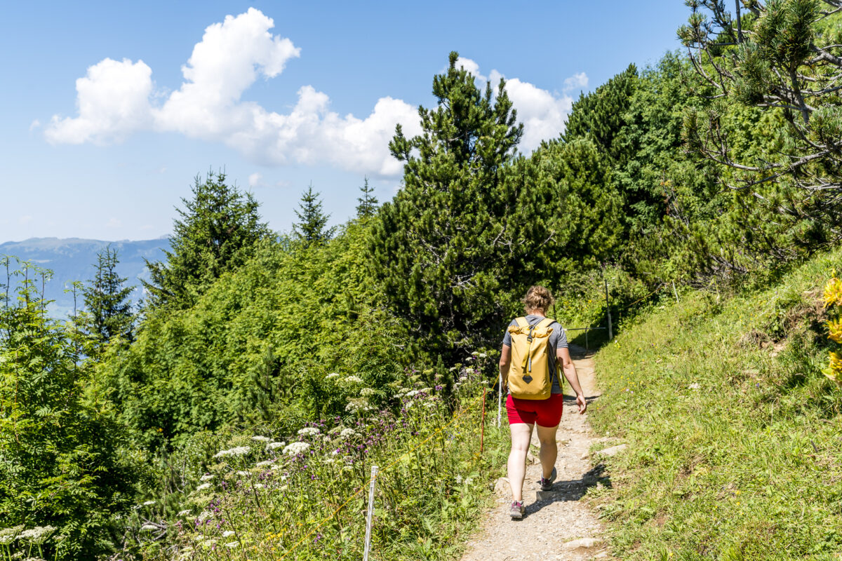 Panoramaweg Schynige Platte