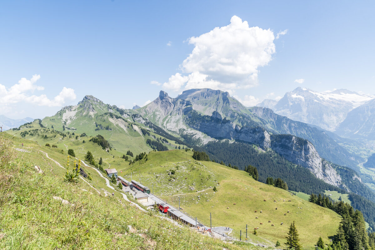 Bergstation Schynige Platte