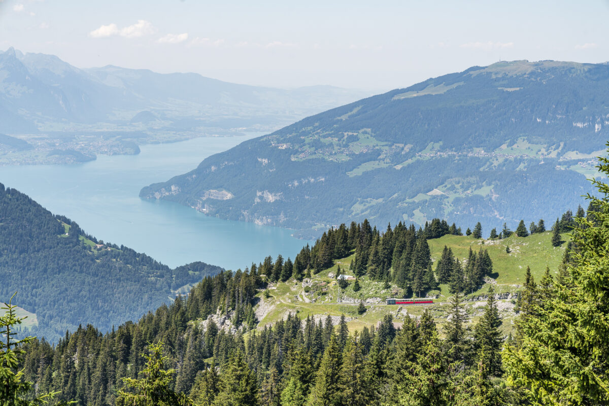 Schynige Platte Aussichtspunkt