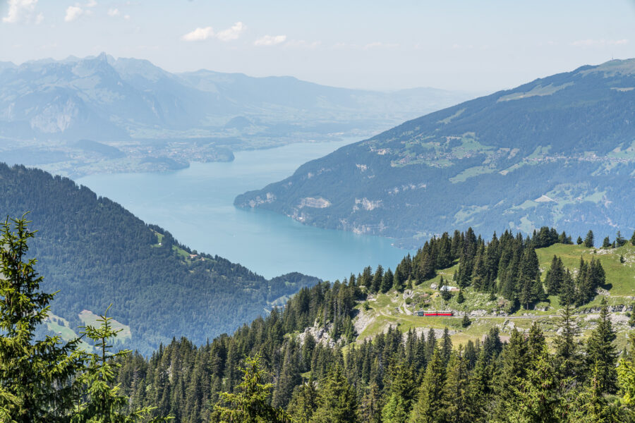 Panorama Schynige Platte