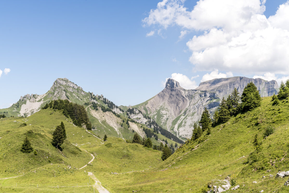 Louchernhorn Schynige Platte