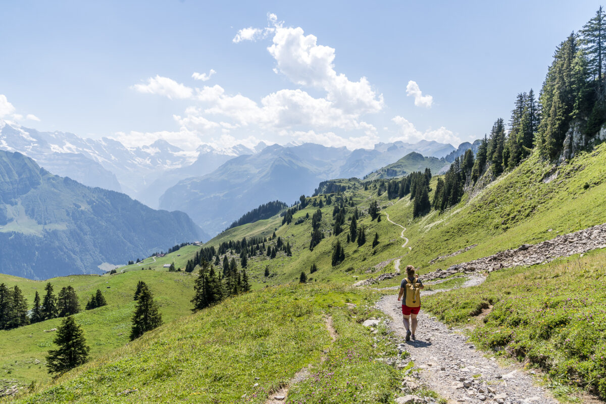 Schynige Platte Wandern