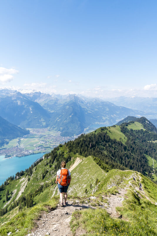 Suggiture Harder Kulm