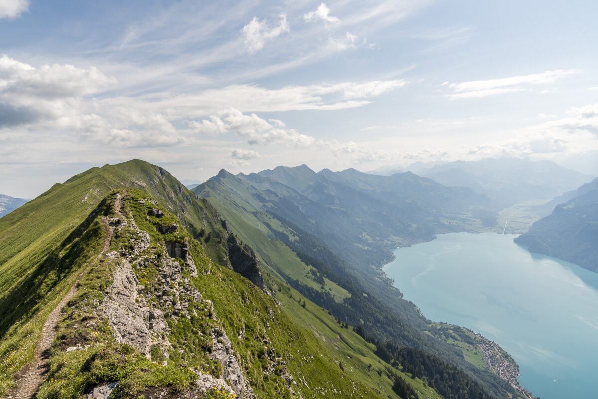 Suggiture Panorama Brienzergrat