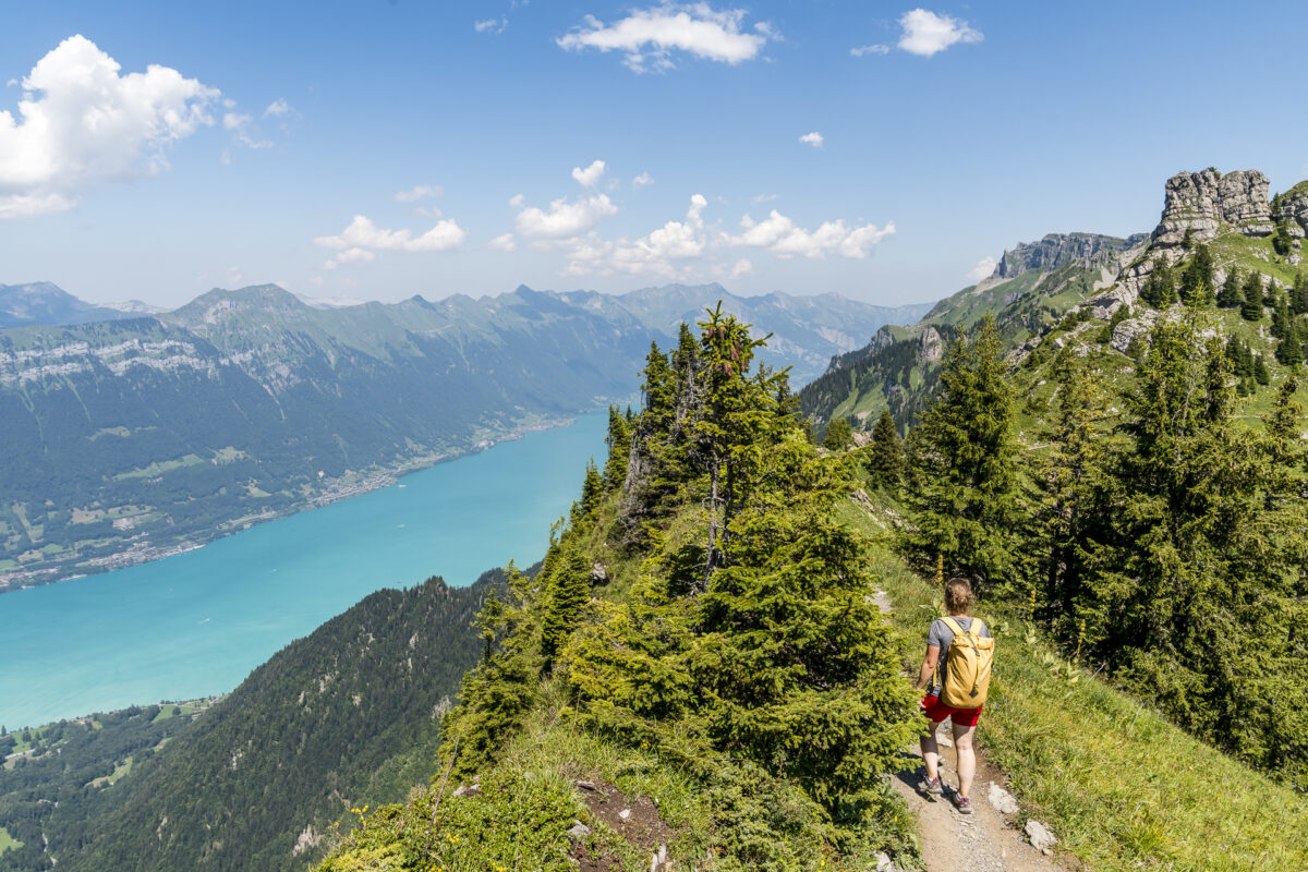 Sicht auf den Brienzersee