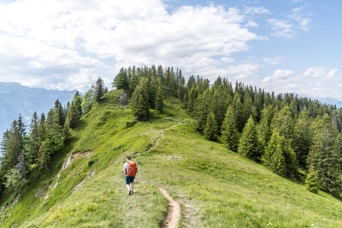 Wanderung Augstmatthorn Harder Kulm Interlaken