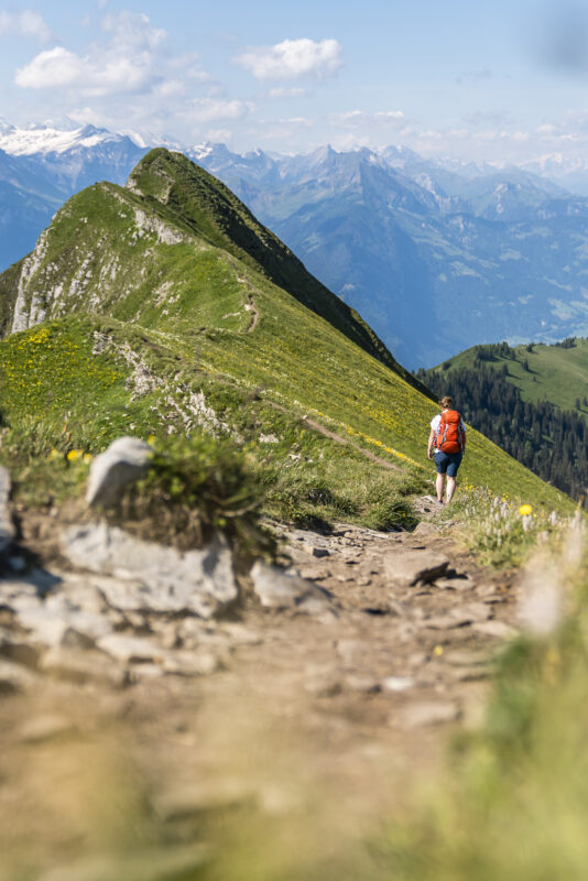 Wanderung Brienzergrat