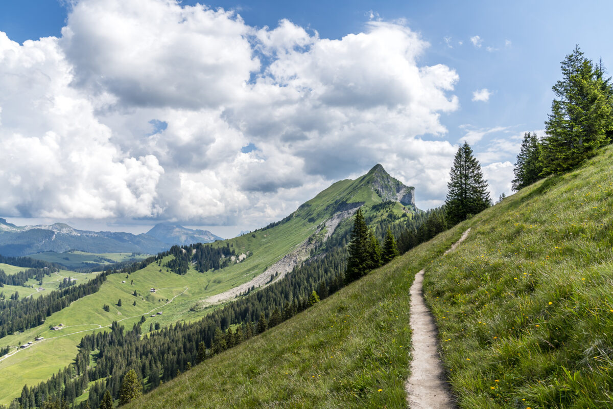 Wanderung Harder Kulm Brienzergrat