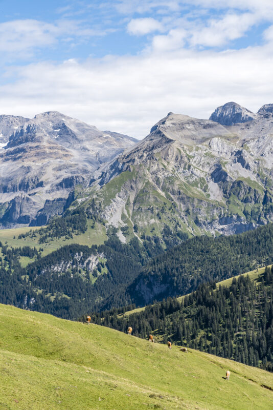 Lenk Betelberg Panorama