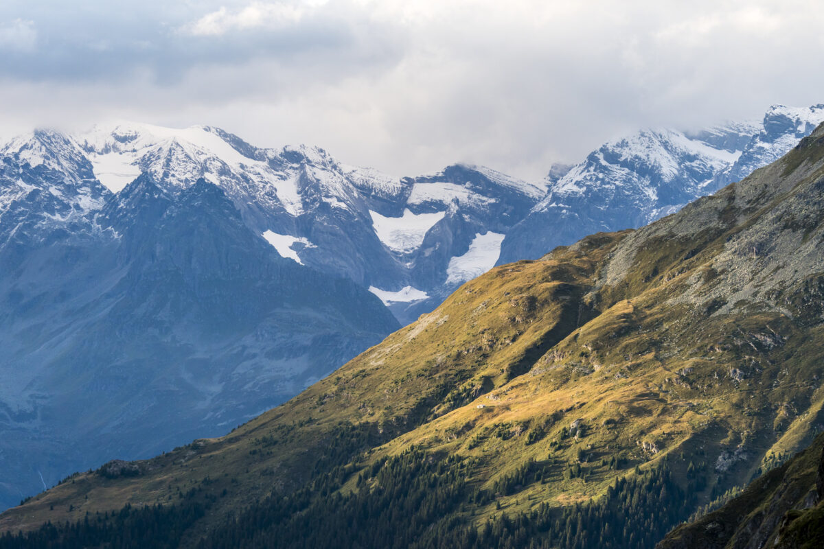 Terrihütte Panorama